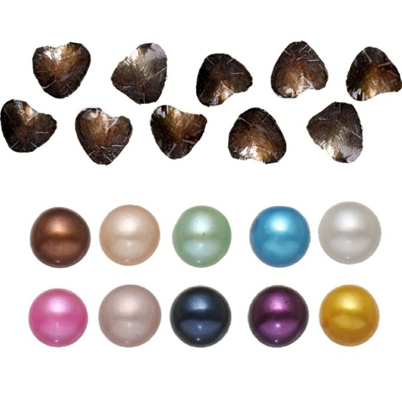 🚨4 LEFT💥OYSTER&PENDANT W/ FRESHWATER PEARL - Picture 4 of 5